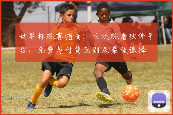 世界杯观赛指南：主流观看软件平台、免费与付费区别及最佳选择